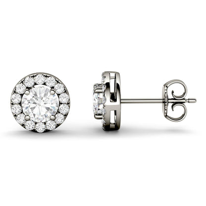 1.28 CTW DEW Round Moissanite Halo Studs in 14K White Gold