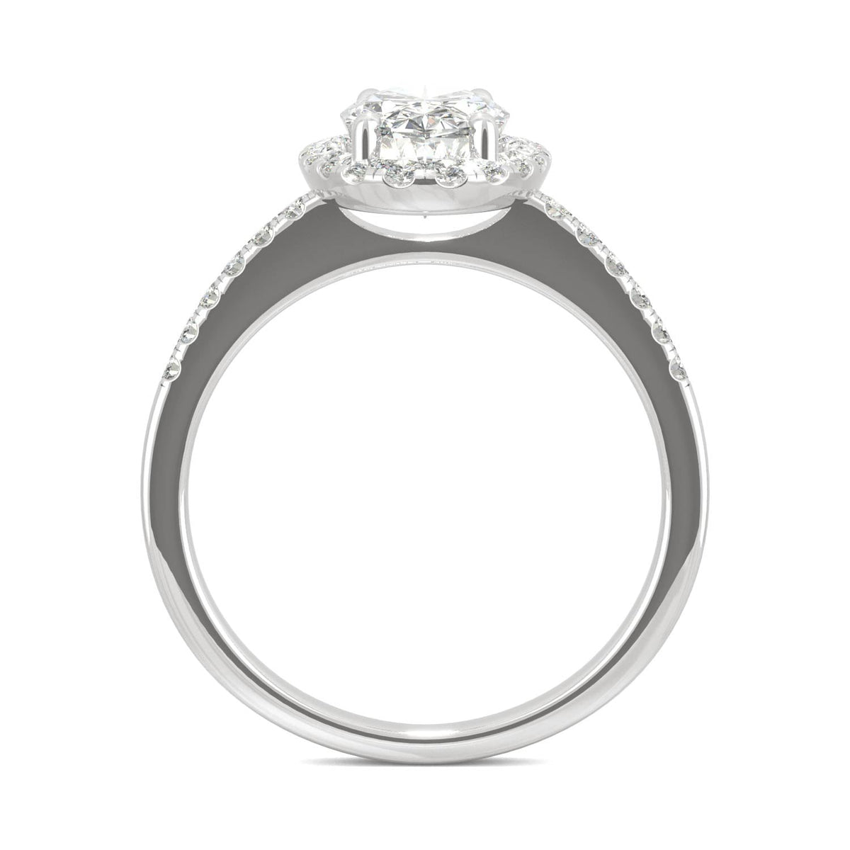 2.62 CTW DEW Elongated Oval Moissanite Halo Ring in 14K White Gold